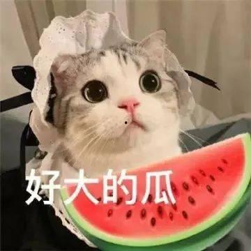 娱乐吃瓜君干了什么被骂,网友纷纷炮轰