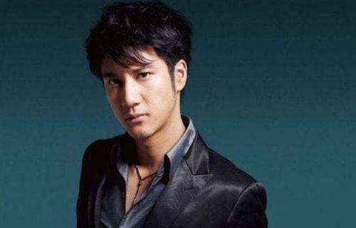 娱乐圈吃瓜王力宏是谁